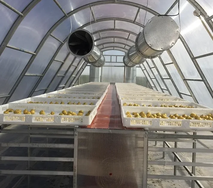 Inside the unit with trolleys, trays full of fruit and two exhaust ducts