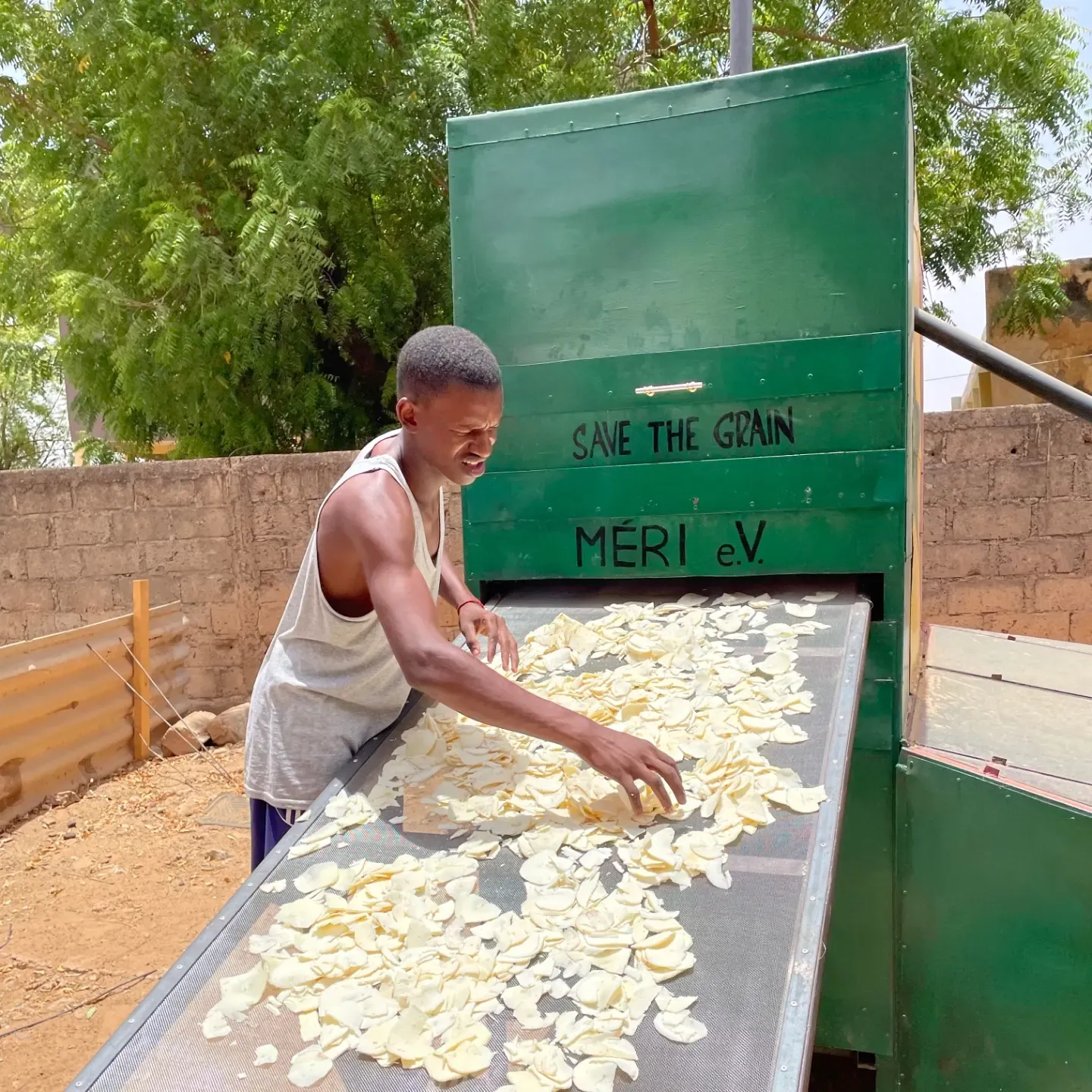 A man loading the Solar Dryer with freshly cut fruit