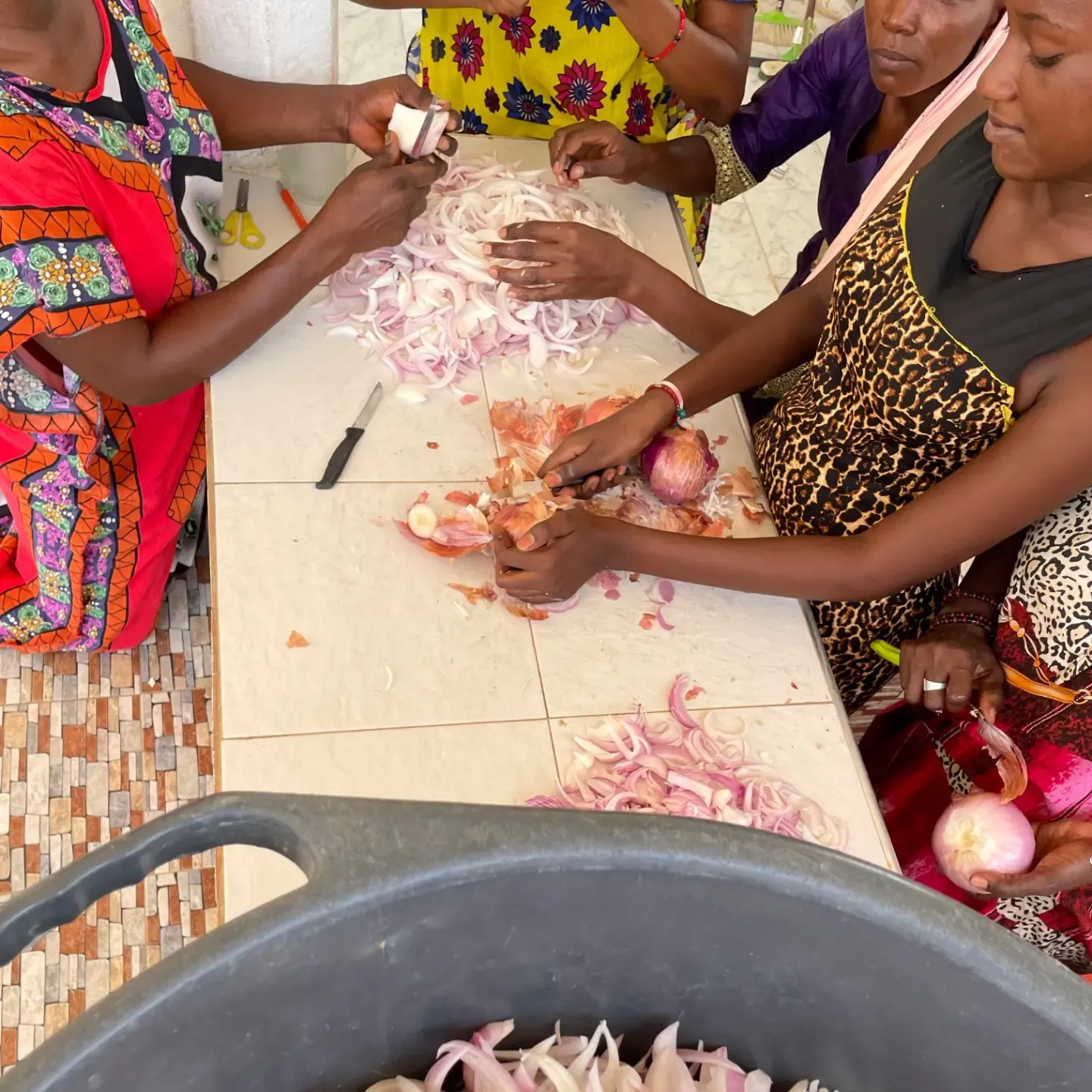 Women of a cooperative cutting onions for drying