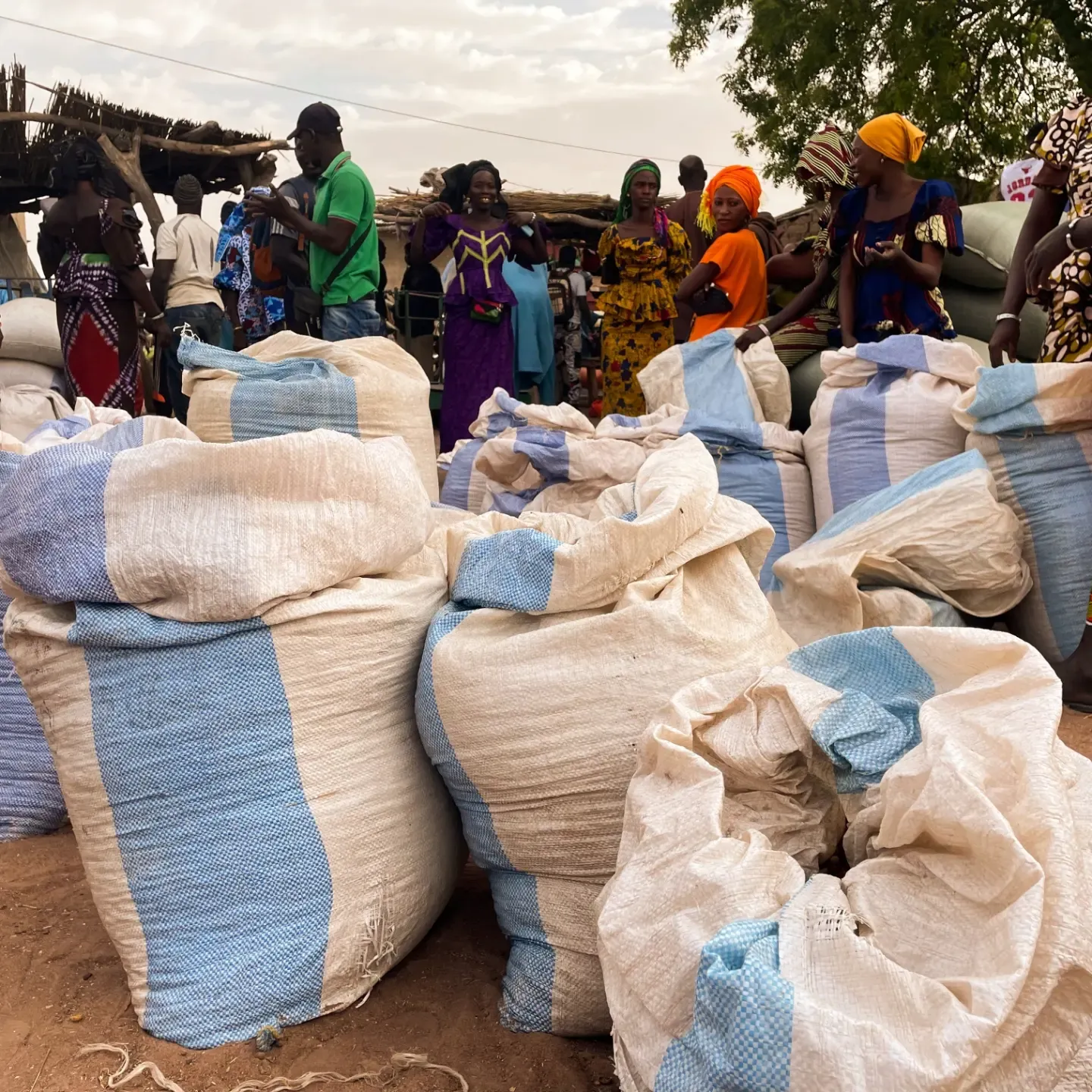 Sacks of produce at a market in Senegal