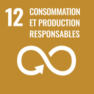 SDG 12: Consommation et production responsables