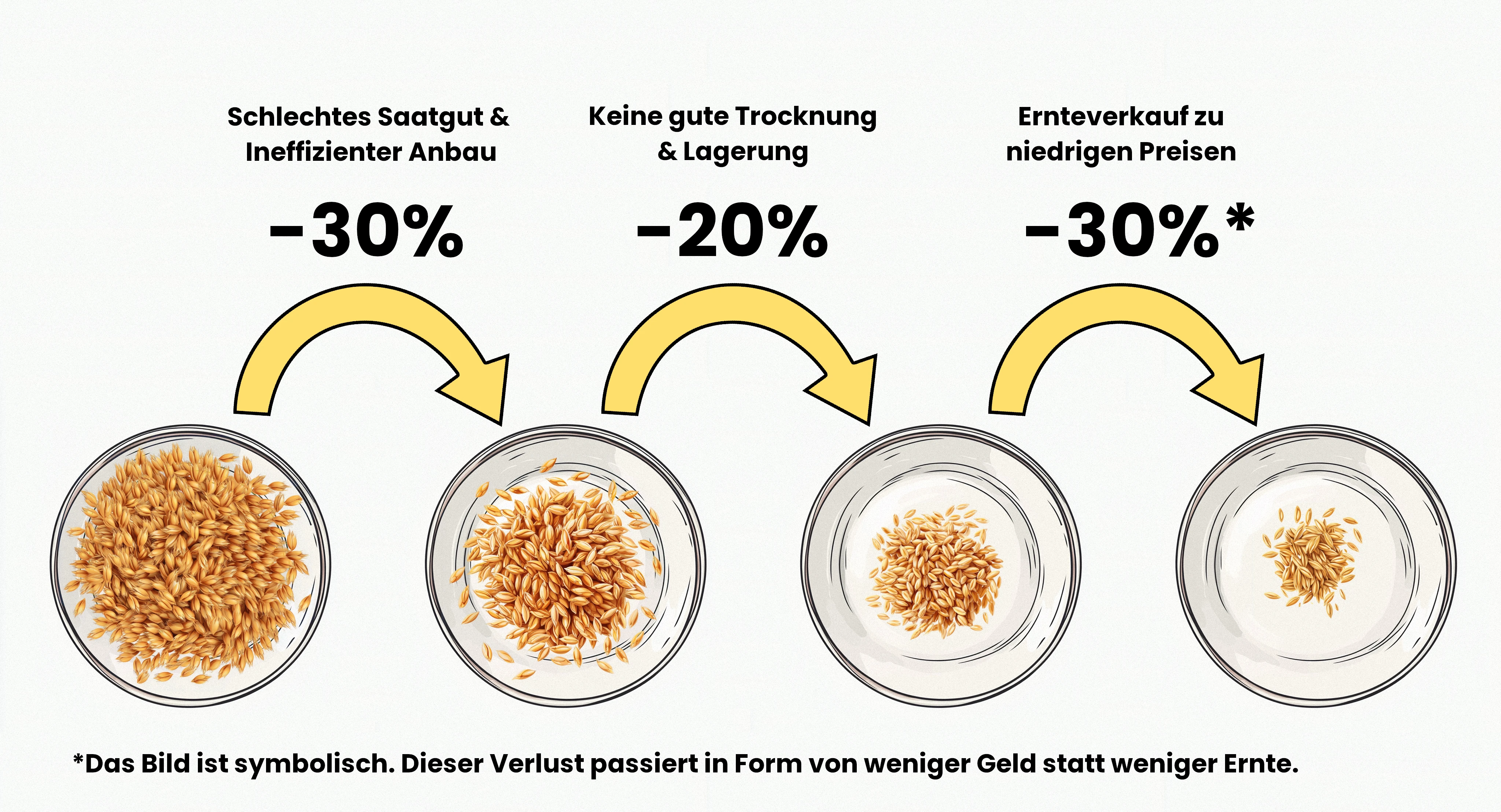 Diagramm zur Visualisierung der Ernteverluste.